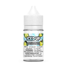 Load image into Gallery viewer, Salt Iced Up 30ML
