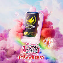 Load image into Gallery viewer, (NEW) Mr. Fog
