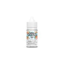 Load image into Gallery viewer, Salt Iced Up 30ML
