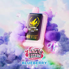 Load image into Gallery viewer, (NEW) Mr. Fog
